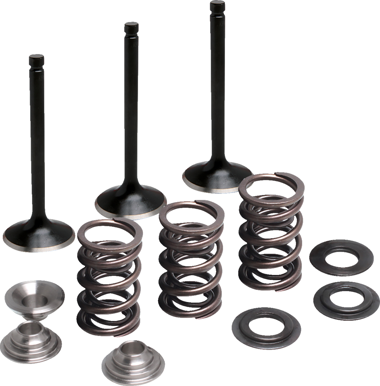 MOOSE OFFROAD M80-83050 Valve and Spring Kit Intake Yamaha M80-83050 4-Stroke