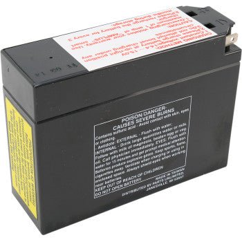 PARTS UNLIMITED - 2113 - 0217 - Factory - Activated AGM Maintenance - Free Battery AGM Battery - YT4B - BS - Moto - House MX