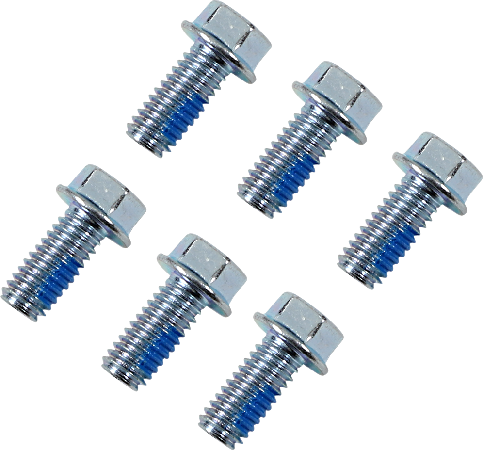 Moose Offroad Rotor Bolts - Honda/KTM/TM