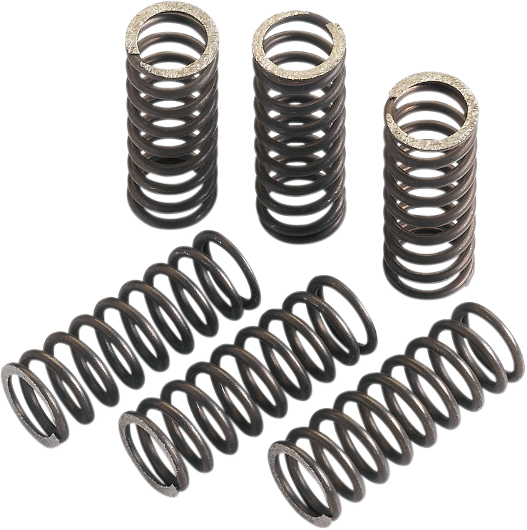 Moose Offroad MHDS2-6 Clutch Springs
