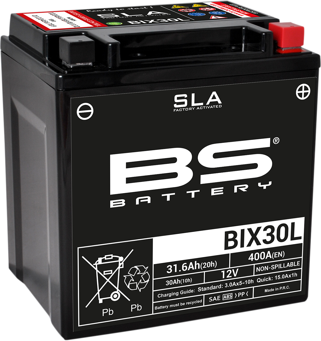 BS Battery 300631 2020s BIX30L Motorcycle Battery Absorbed Glass