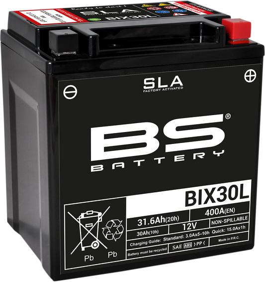BS Battery 300631 2020s BIX30L Motorcycle Battery Absorbed Glass