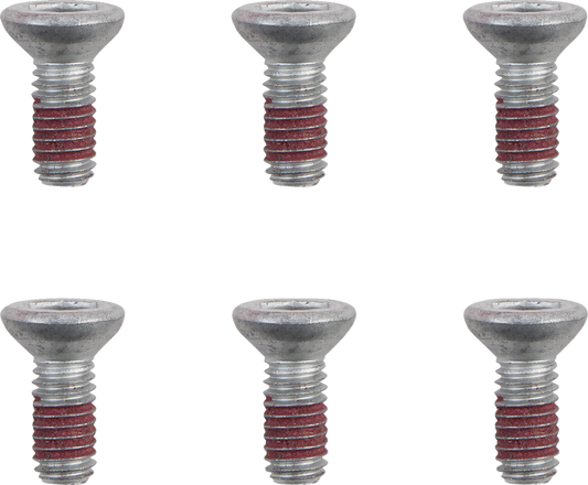 MOTO-MASTER Brake Rotor Bolts - M6 x 12 - 6-Pack