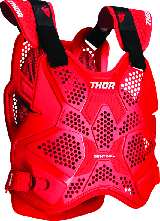 THOR 2701-1310 Sentinel Pro Guard 2020-23 XL/2XL Impact Protection