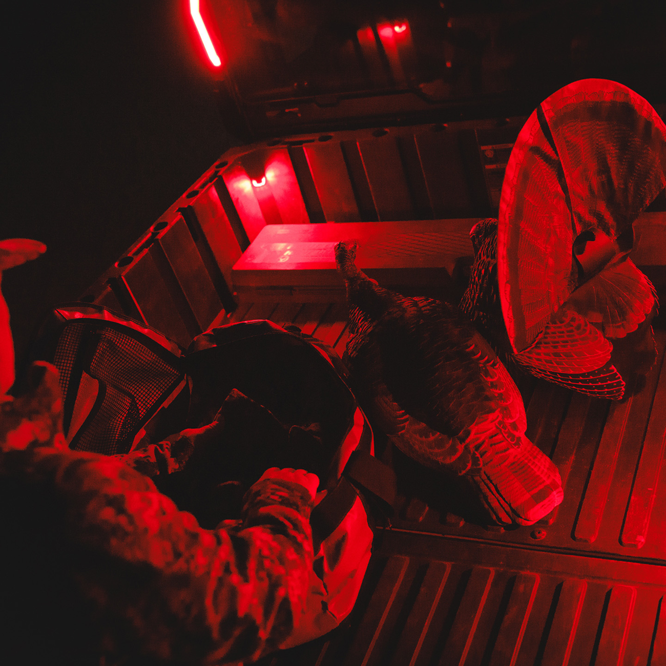 RAVEK Trunk Bed Light - Ranger XD 1500