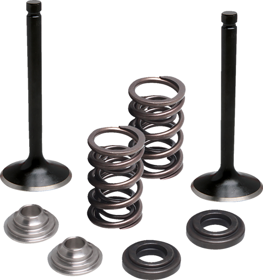 Moose Offroad M80-83060 Valve and Spring Kit Exhaust Yamaha M80-83060 2000-2023