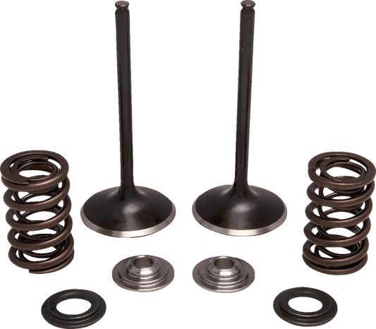 Moose Offroad M30-34250 Valve and Spring Kit Intake Honda 2000-2005