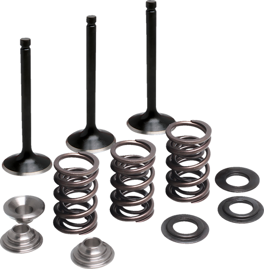MOOSE OFFROAD M80-83050 Valve and Spring Kit Intake Yamaha M80-83050 4-Stroke