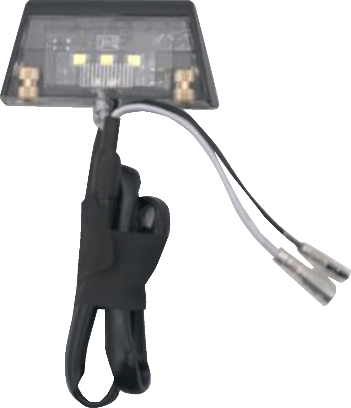 RAVEK 59-227 2023 RAVEK Speak Easy License Plate Light