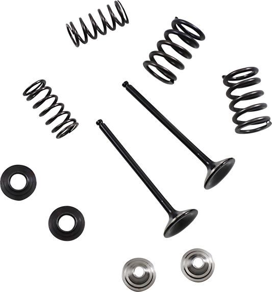 Moose Offroad 0926-3193 Exhaust Valve and Spring Kit Motocross Part | Moto-House MX