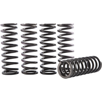 Hinson Hi-Temp Clutch Spring Kit - CS189-5-0613 - 2018-2024 Honda CRF250R, and CRF250RX