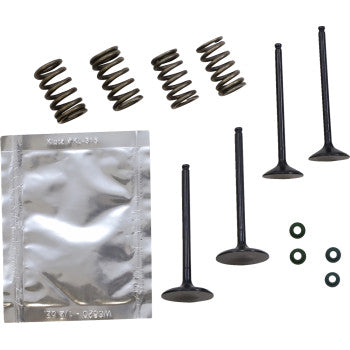 WISECO  SVKB2414 Valve Kit