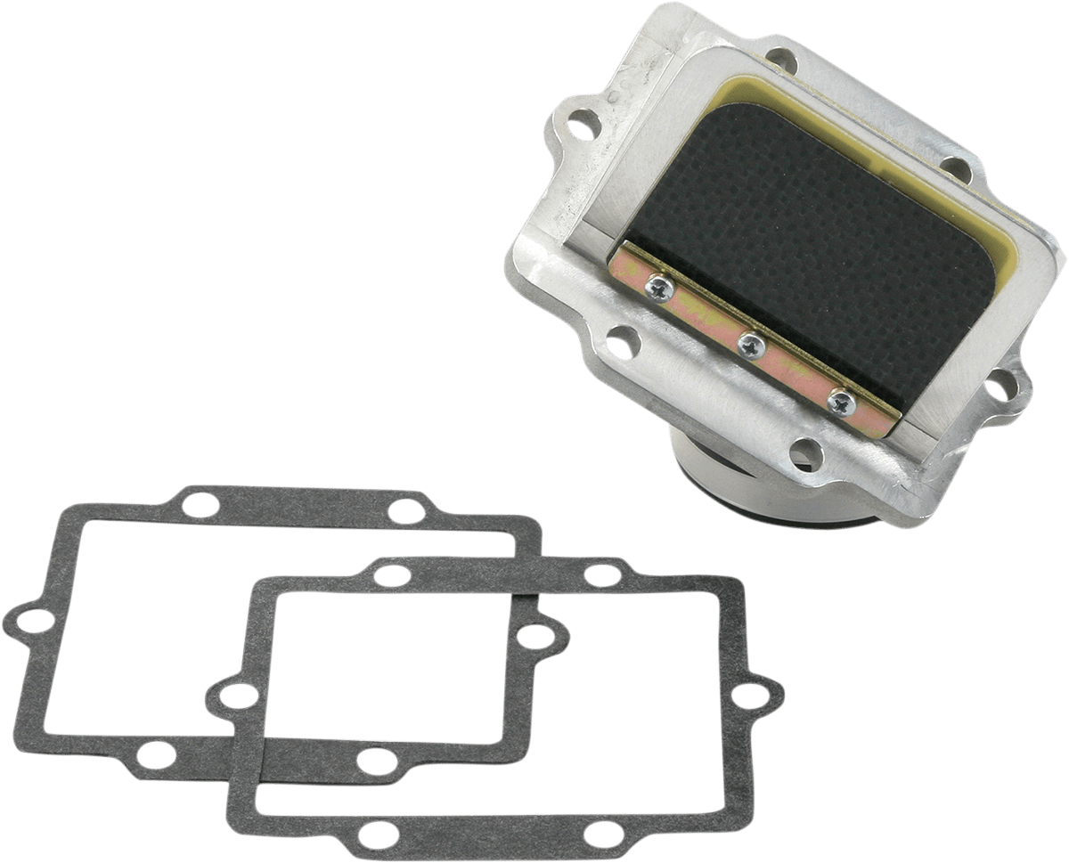 BOYESEN Rad Valve Reed Cage Assembly - Kawasaki RAD12E - Moto - House MX