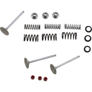 Moose Racing - M80 - 80950 - Stainless Intake Valve and Spring Kit - 2004 - 2018 Yamaha YFZ450, YFZ450R - Moto - House MX