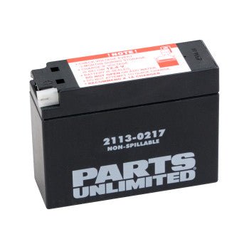 PARTS UNLIMITED - 2113 - 0217 - Factory - Activated AGM Maintenance - Free Battery AGM Battery - YT4B - BS - Moto - House MX