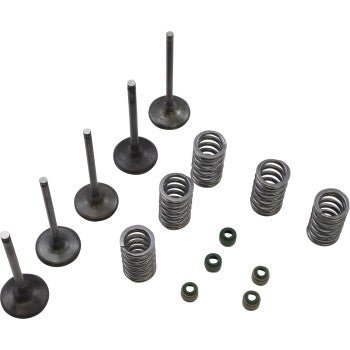 Wiseco Garage Buddy Steel Valve Kit - 2003 - 2009 Yamaha YZ450F - SVKB2424 - Moto - House MX