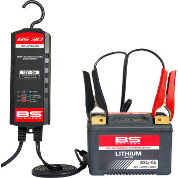 BS BATTERY, BS30 Smart Battery Charger / Maintainer 12V lead-acid or 12.8V lithium Battery